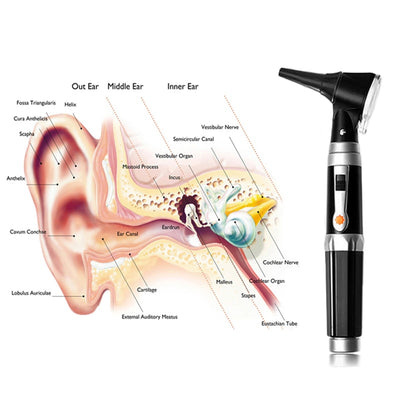 Professional Otoscopio Diagnostic Kit